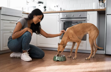 Wet Dog Food for Picky Eaters: Tips That Work
