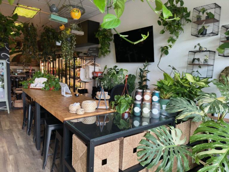 Houseplants Las Vegas: 16 Stunning Picks That Thrive in the Desert Heat