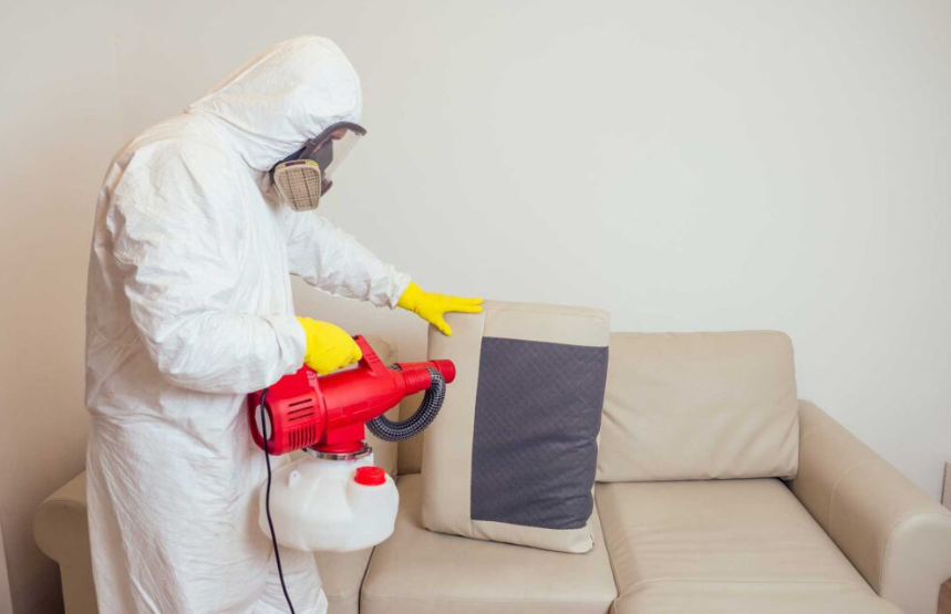 Why USA Residents Are Switching to Recurring House Cleaning and Pest Control Services